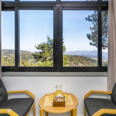 Troodos Hotel & Spa Hotel