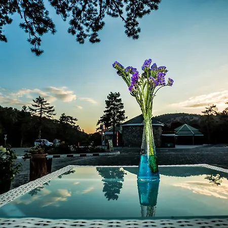 Troodos Hotel & Spa Hotel 3*