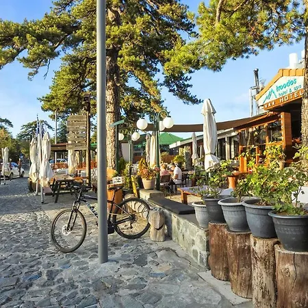 Troodos Hotel & Spa