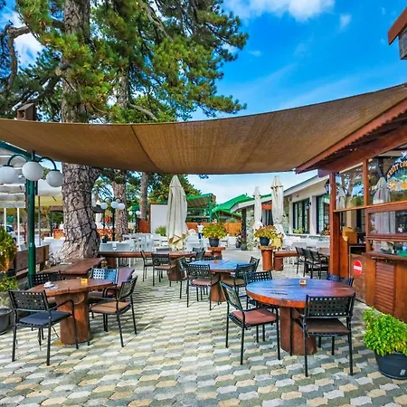 Hotel Troodos Hotel & Spa 3*
