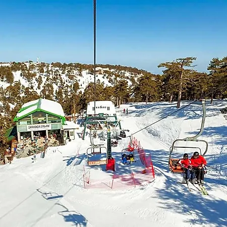 Troodos Hotel & Spa 3*