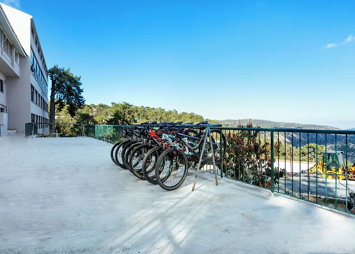 & 3* トロードス